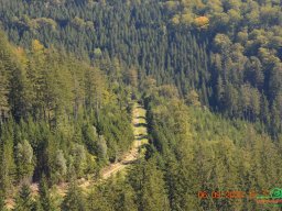 Skywalk Willingen